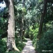 广元还有哪些旅游景点推荐？