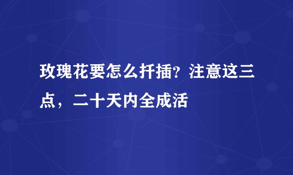 玫瑰花要怎么扦插？注意这三点，二十天内全成活