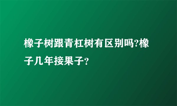 橡子树跟青杠树有区别吗?橡子几年接果子？
