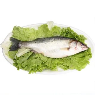 海鲈鱼价格多少钱一斤