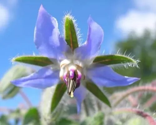 蓝天白云好心情的短语有什么？