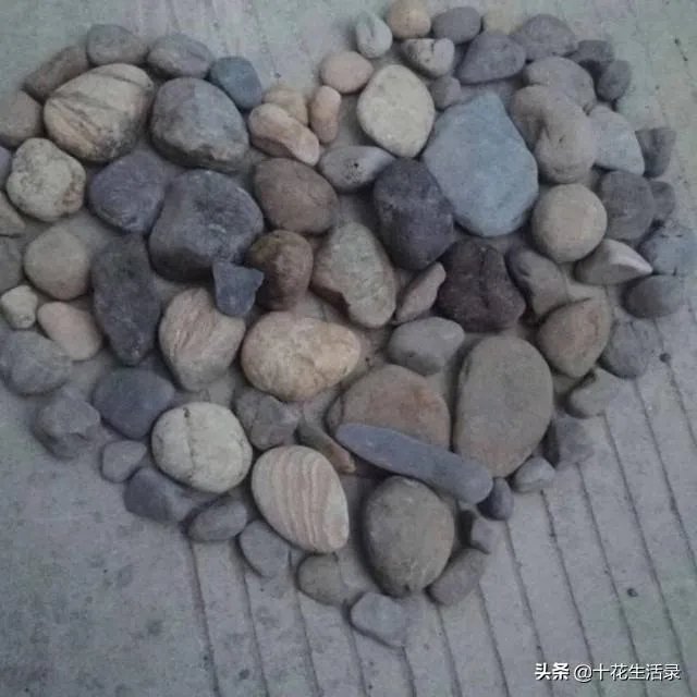 鹿晗关晓彤能成几年