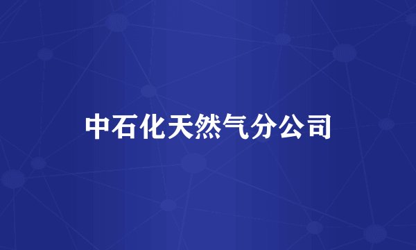 中石化天然气分公司