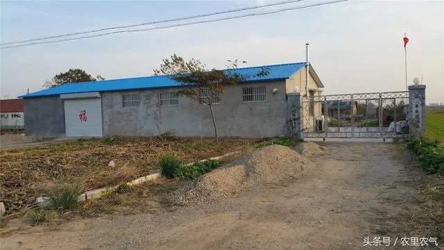 2018年生猪价格行情走势如何？