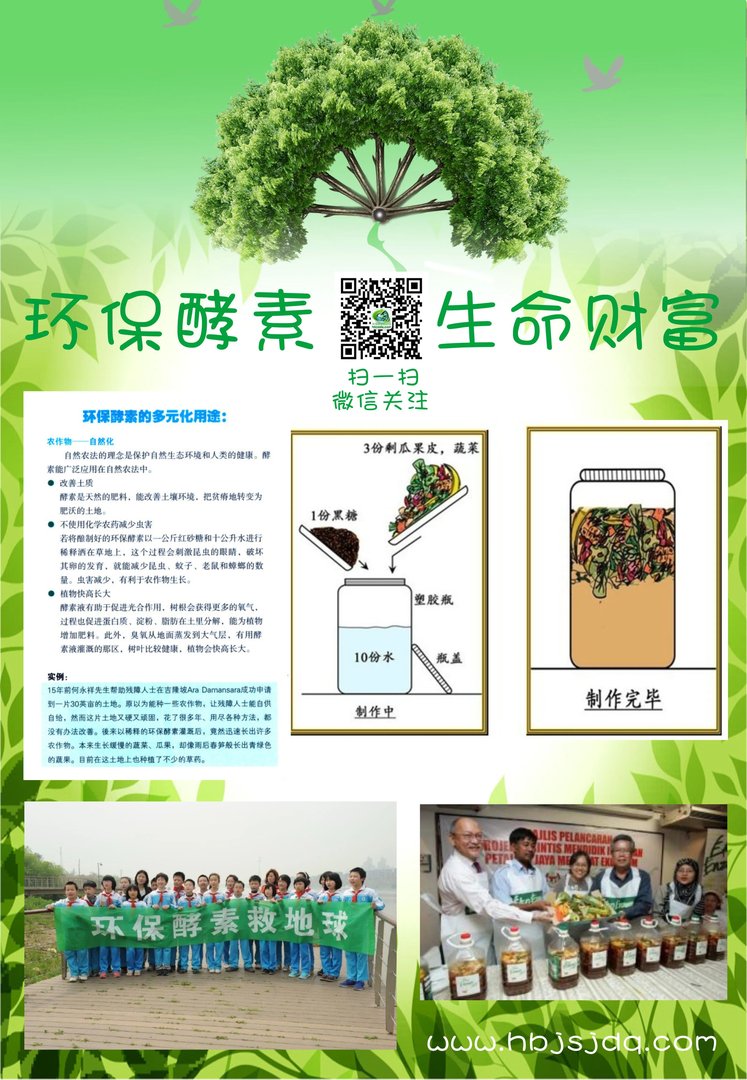 公益网站的著名的公益网站