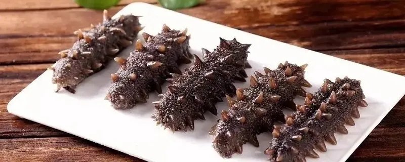 人造海参是什么样子的