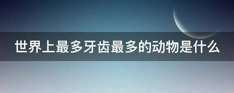 世界上最多牙齿最多的动物是什么