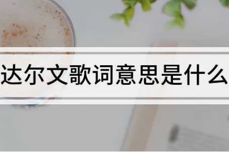 达尔文蔡健雅是哪一首歌曲的歌词？