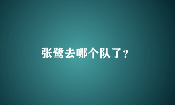 张鹭去哪个队了？