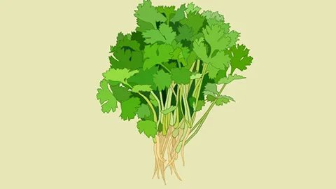 核黄素缺乏病因有哪些