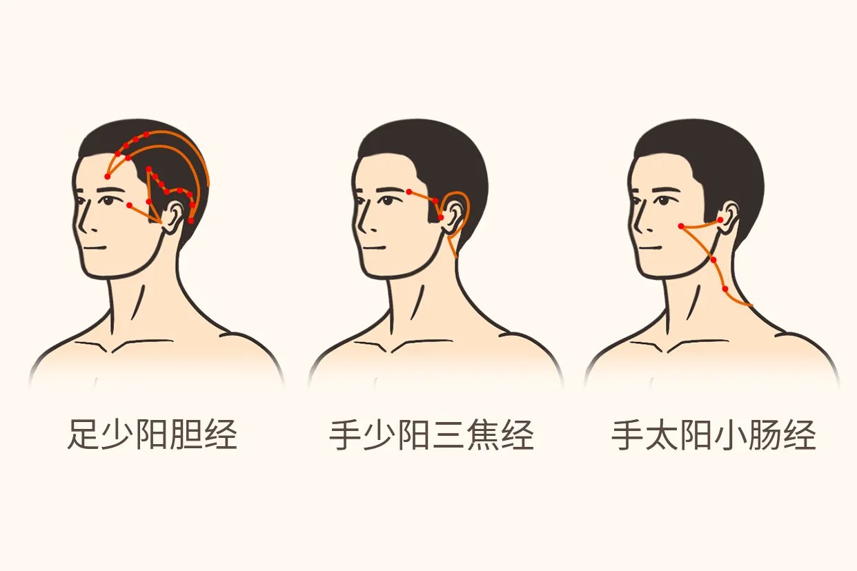 面部经络9条经络走向图