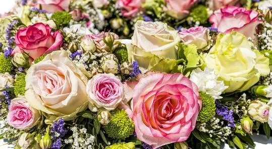 没确定关系能送花吗 第一次见女生送什么花