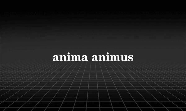 anima animus