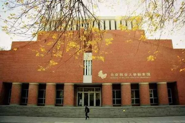 北京林业大学怎么样啊