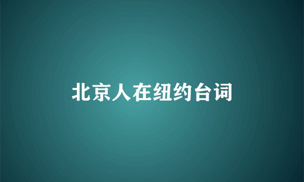 北京人在纽约台词