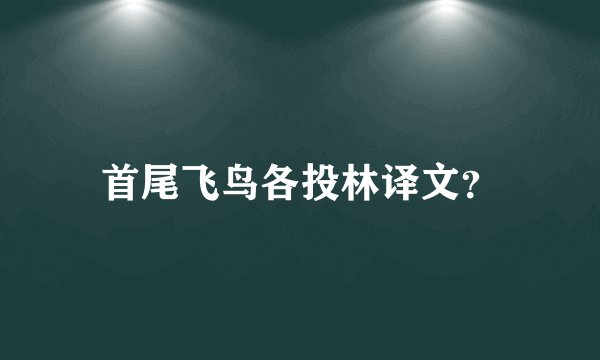 首尾飞鸟各投林译文？