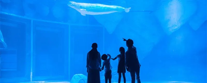 北京海洋馆门票价格 北京海洋馆门票价格是多少
