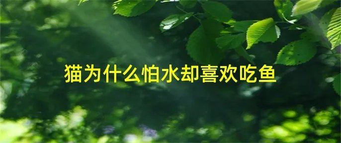 猫为什么怕水却喜欢吃鱼