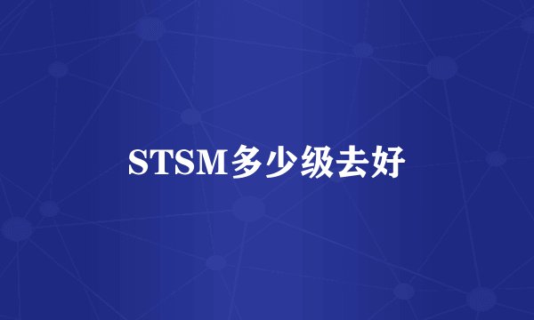 STSM多少级去好