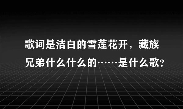 歌词是洁白的雪莲花开，藏族兄弟什么什么的……是什么歌？