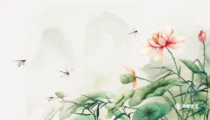 晓出净慈寺送林子方的意思