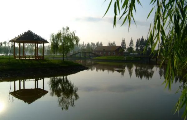 崇明岛有什么好玩的？