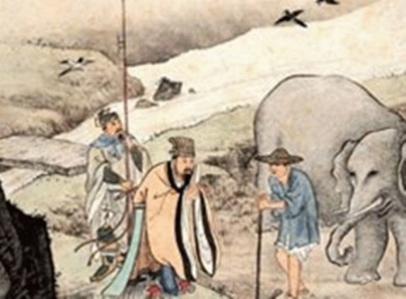 芥菜子有没有什么好处啊