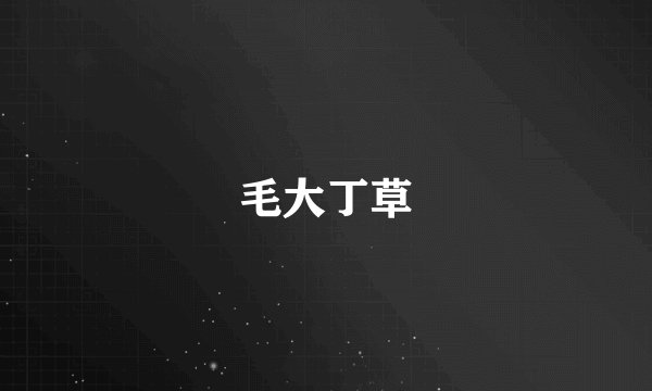 毛大丁草