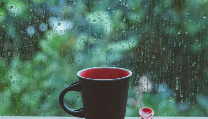 下雨天的心情经典句子 关于下雨天的心情的句子有什么