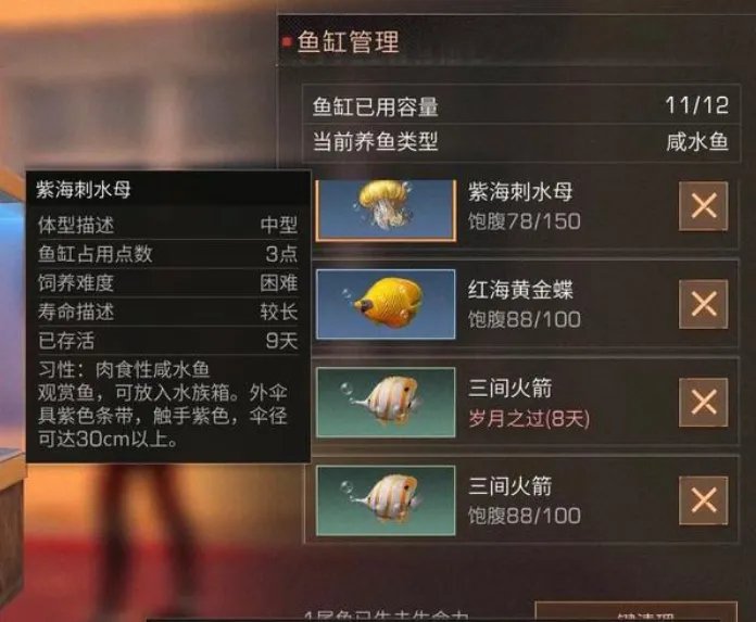 明日之后都有什么鱼