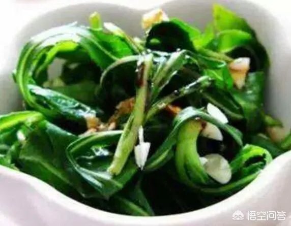 苦麻子的作用都有什么?