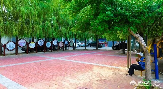 烟台数字政府建设列出时间表,让百姓办事更便捷, 你怎么看?