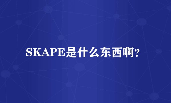 SKAPE是什么东西啊？