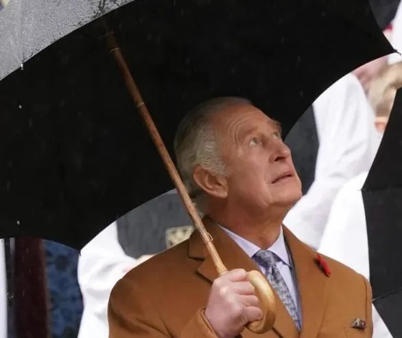 英国的国王查尔斯三世再遭鸡蛋袭击!上任几个月他经历了什么?