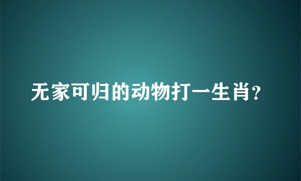 无家可归的动物打一生肖？