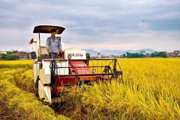 以色列农业有哪些是值得我们国家借鉴学习的地方？