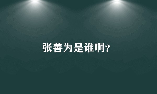 张善为是谁啊？