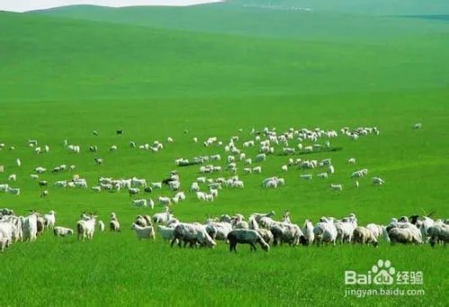 鄂尔多斯旅游攻略