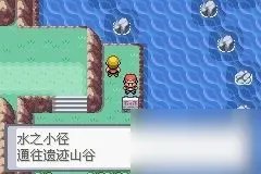 《口袋妖怪火红》二周目怎么过 通关攻略分享