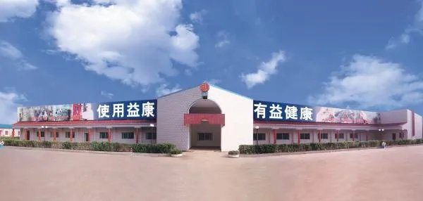 益康集团有限公司的公司简介