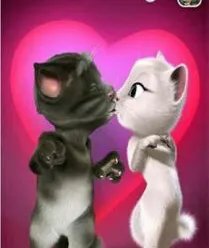 什么是《会说话的汤姆猫4》?