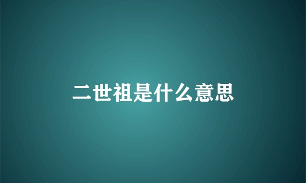 二世祖是什么意思