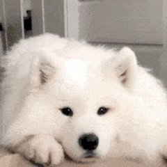 下雨天了怎么办，我好想家...越长大越恋家？排解情愫你需要学会这几点>>>