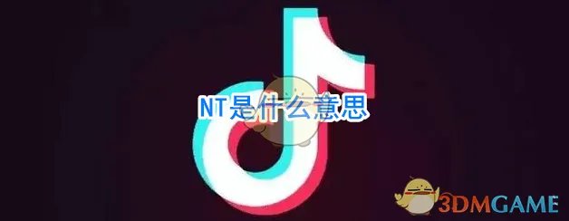 NT是什么意思