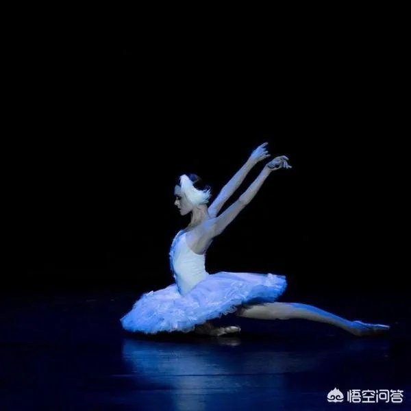 谭元元和侯宏澜谁厉害？