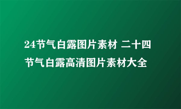 24节气白露图片素材 二十四节气白露高清图片素材大全