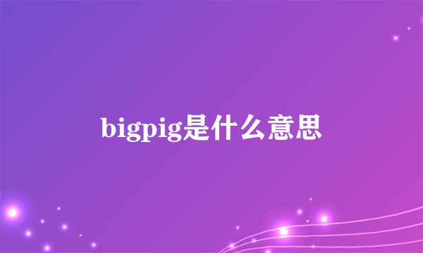 bigpig是什么意思