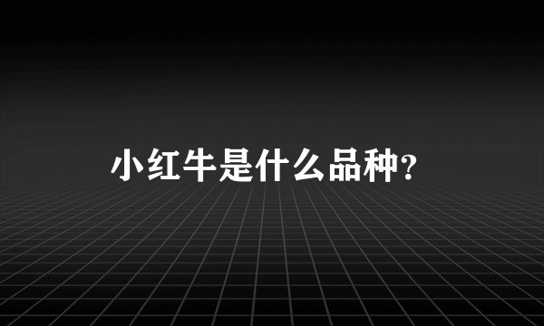 小红牛是什么品种？