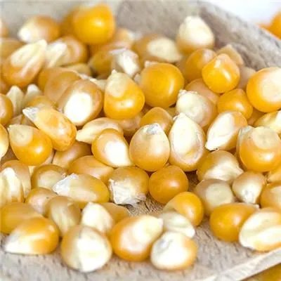 两个月婴儿吐奶是怎么回事