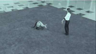 干掉人类的会是它们吗?2019全球最强9大超级仿生机械!